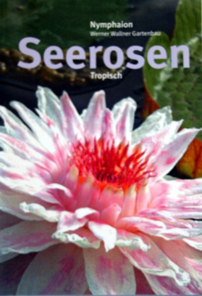 Seerosenhandbuch tropische Seerosen