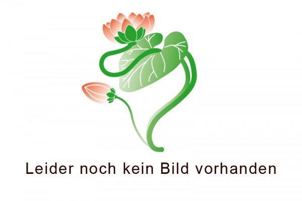Nelumbo `New Leaders` - Lotosblume